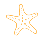 Starfish Icon